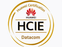 华为HCIE-Datacom认证课程